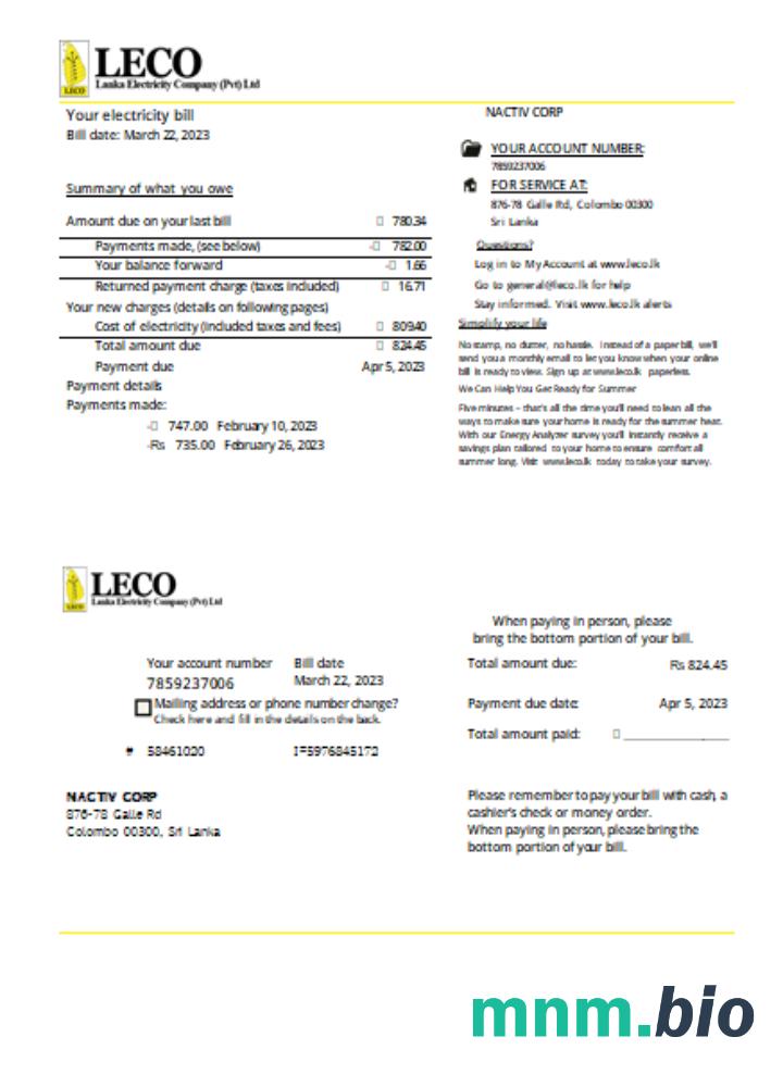 Leco Corporation electricity business bill